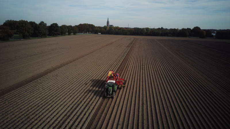 hofboerger kartoffeln